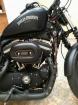 Harley-davidson Xl - 2013