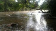 Chacara rio uru 120 km de goiania